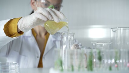 Woman scientist wearing a lab coat, white gloves, and a mask is pouring a yellow oily liquid from a...
