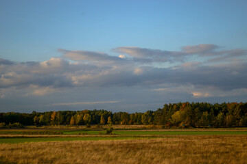 autumn landscape with trees