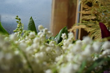 Spring Bouquet of Lilies of the Valley and Pink Flowers by the Window
