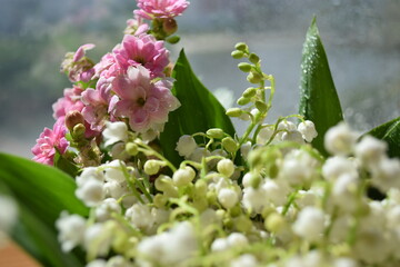 Spring Bouquet of Lilies of the Valley and Pink Flowers by the Window
