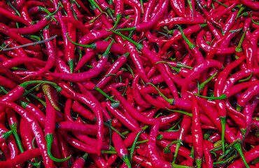 Beautiful red hot peppers on the table.