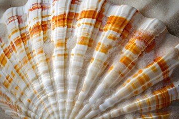Seashell's Intricate Design: A Close-Up Look at the Shell's Radiating Pattern, Featuring Vibrant Hues and Detailed Texture, Showcasing Nature's Artistic Mastery in Coastal Wonders.