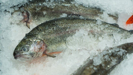 Fresh trout displayed on crushed ice at a seafood market counter. Perfectly chilled for sale, showcasing freshness and quality for customers seeking premium fish.