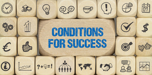 Conditions for Success	
