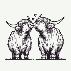 Fototapeta premium Highland Cow Couple Blowing kisses to each other minimalist vector graphic shows a loving bovine pair.