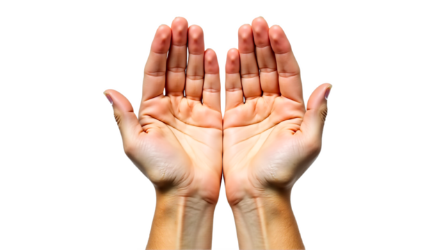 Open hands isolated on transparent background. Gesture of offering, receiving, giving, support, donation, care, presentation, mindfulness. Cut out on white.