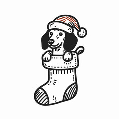 Fototapeta premium Dachshund Dog wearing a Santa hat stuck inside a Christmas stocking a vector mascot symbol for a festive holiday design