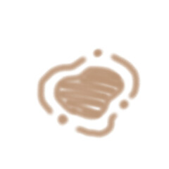 heart shaped chocolate