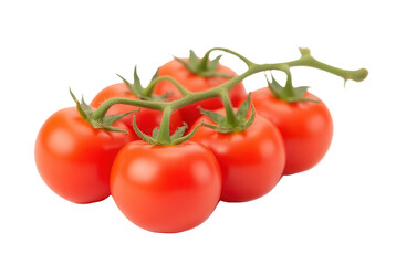 Fresh Red Tomatoes on Vine Isolated on White Background