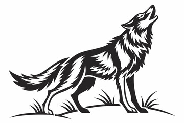 wolf isolated on white
