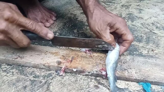 clean the fish with a knife