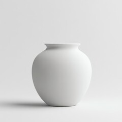 A matte white ceramic jar with a smooth, curved silhouette and a minimalist design, embodying understated elegance.