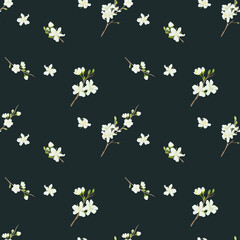 Delicate flowers on spring apple and cherry tree branches with leaves. Seamless pattern. Watercolor digital illustration. White buds and petals, blooming Japanese tree isolated on dark background.