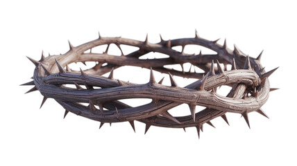 Fototapeta premium Realistic Crown of Thorns for Good Friday isolated on transparent background