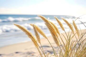 Beach Grass and Ocean Waves