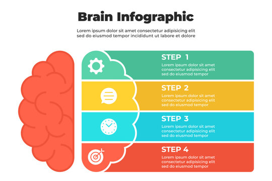 Colorful brain infographic with four circular icons aligned vertically for step by step