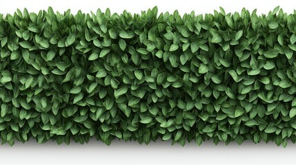 Lush green foliage arranged in a uniform pattern ideal for creating a natural atmosphere in interior or exterior designs