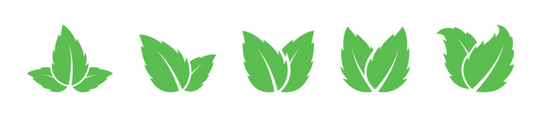 Green Leaf Icon Collection in Various Designs Vector Set