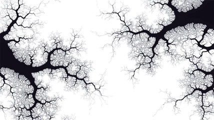 Fototapeta premium The image presents a high-contrast monochrome abstract pattern. It features two mirrored, branching structures resembling tree branches or veins, rendered in shades of black and white against a
