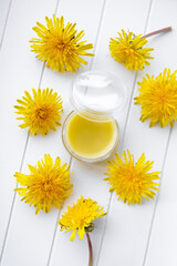 Balm made with dandelions Taraxacum for sore muscles and chapped skin. Jar with yellow salve on...