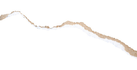 ripped paper edge elements with isolated background