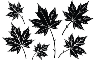 Vector Style Maple Leaf Silhouettes Perfect for Canadian and Nature-Inspired Themes