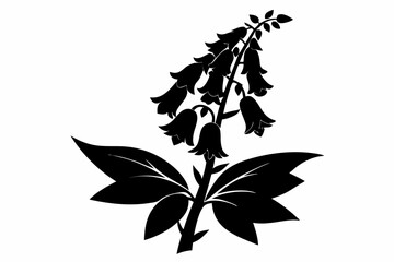 foxglove flower line art silhouette vector illustration © Pinak