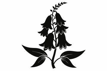 foxglove flower line art silhouette vector illustration © Pinak