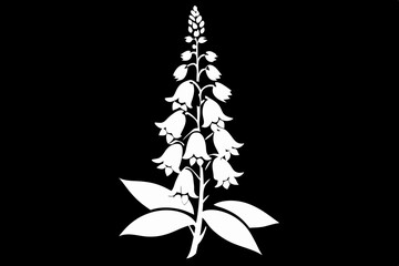foxglove flower line art silhouette vector illustration © Pinak