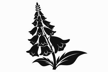 foxglove flower line art silhouette vector illustration © Pinak
