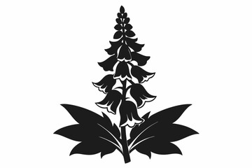 foxglove flower line art silhouette vector illustration © Pinak