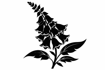 foxglove flower line art silhouette vector illustration