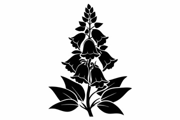 foxglove flower line art silhouette vector illustration © Pinak