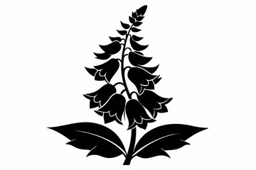 foxglove flower line art silhouette vector illustration © Pinak
