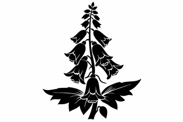foxglove flower line art silhouette vector illustration © Pinak
