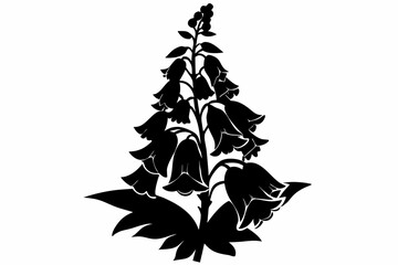 foxglove flower line art silhouette vector illustration © Pinak