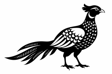 pheasant line art silhouette vector illustration