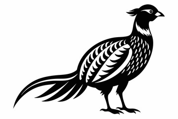 pheasant line art silhouette vector illustration