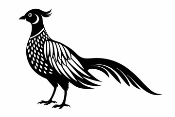 pheasant line art silhouette vector illustration