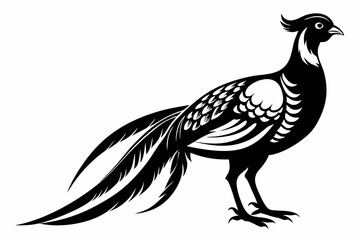 pheasant line art silhouette vector illustration