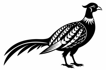 pheasant line art silhouette vector illustration