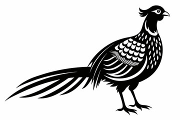 pheasant line art silhouette vector illustration