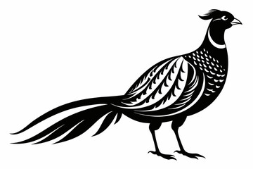 pheasant line art silhouette vector illustration