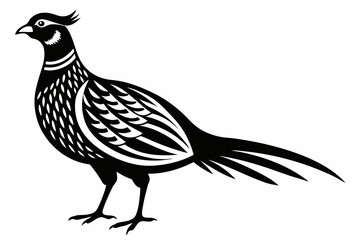 pheasant line art silhouette vector illustration