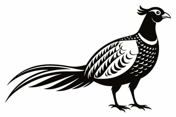 pheasant line art silhouette vector illustration