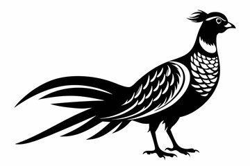 pheasant line art silhouette vector illustration
