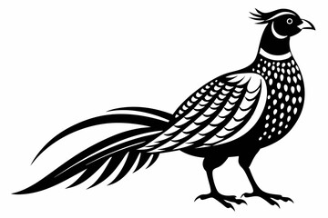pheasant line art silhouette vector illustration