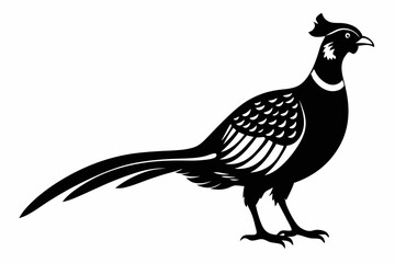 pheasant line art silhouette vector illustration