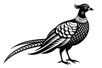 pheasant line art silhouette vector illustration