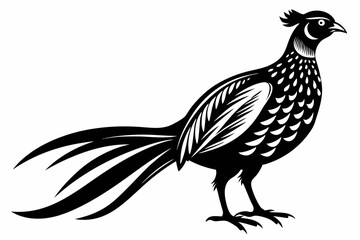 pheasant line art silhouette vector illustration